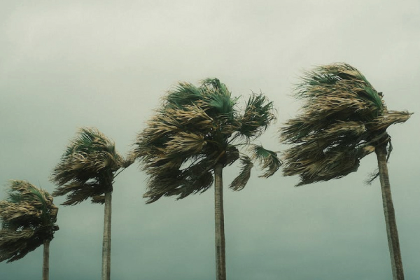 Hurricane Winds