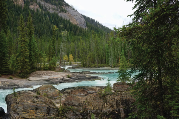 Alberta River