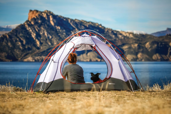 Best Camping Gear for Beginners – FocusPoint International