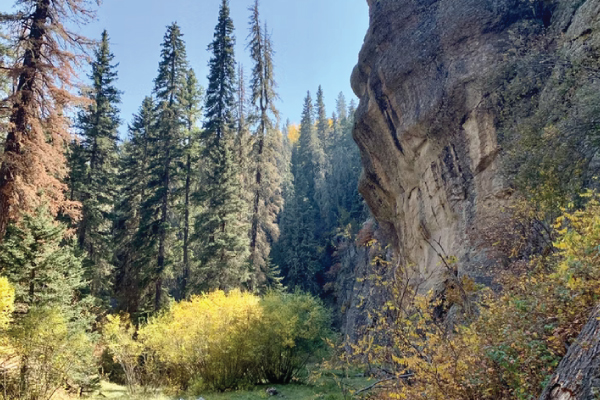 mexico mountains