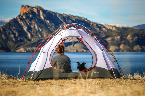 Camping with Dog