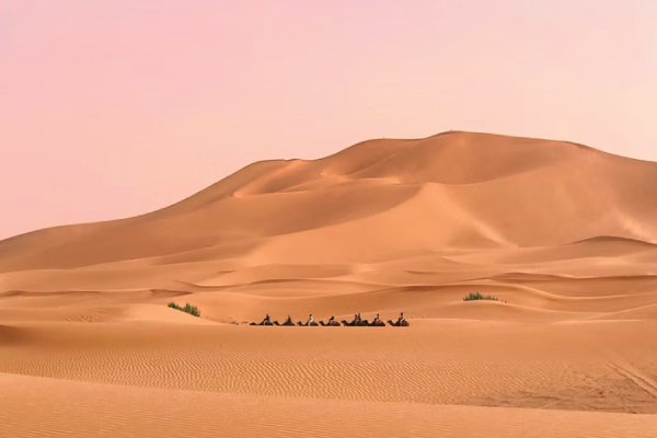 Sand Dunes in Sahara